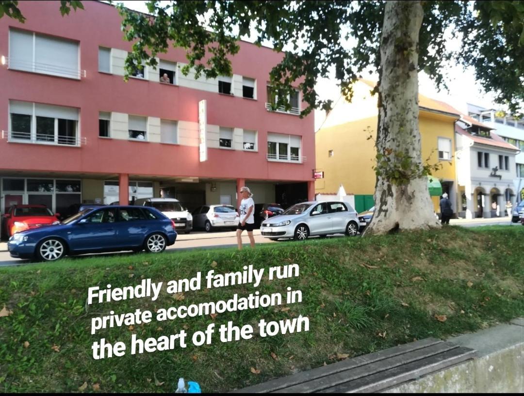 Guesthouse Sava Slavonski Brod Exterior foto
